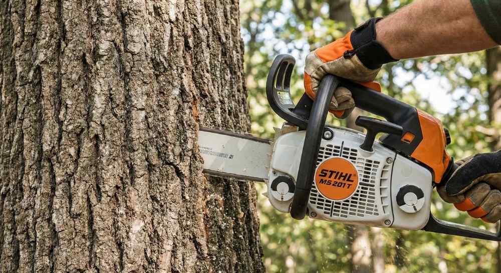 Top Handle Chainsaw