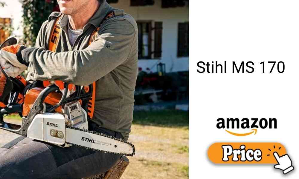 Stihl MS 170 Price