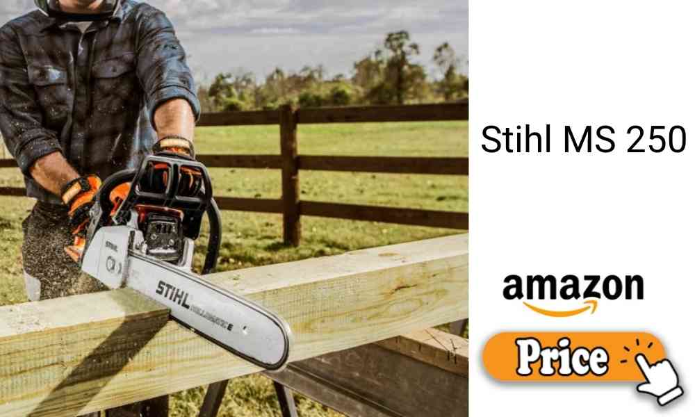 Stihl MS 250 Price