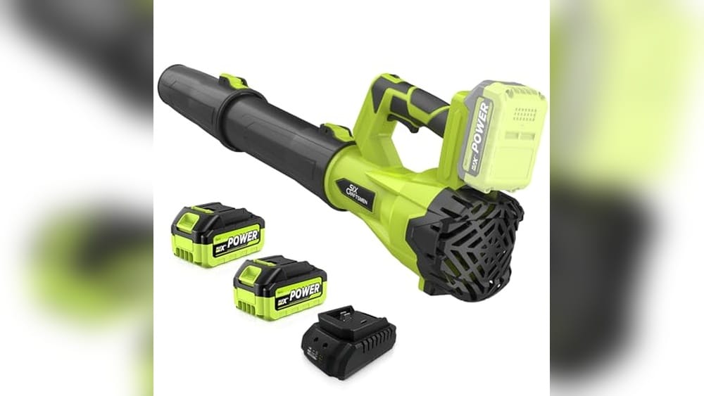 Best Leaf Blower for Snow