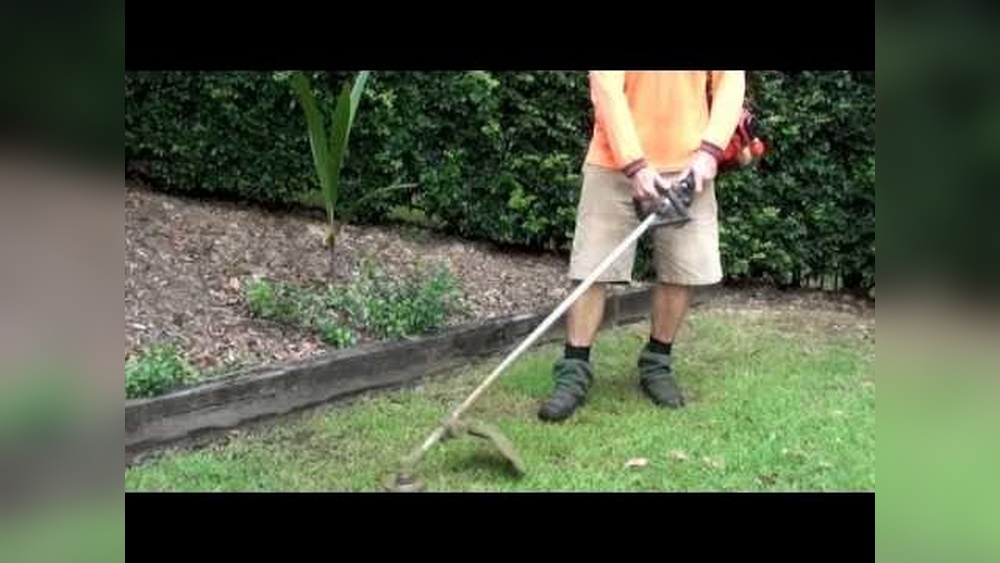 Can I Use a Weed Wacker to Mow My Lawn