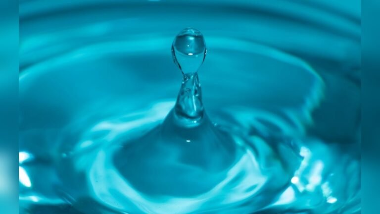 Dewalt Vs Simpson Pressure Washer