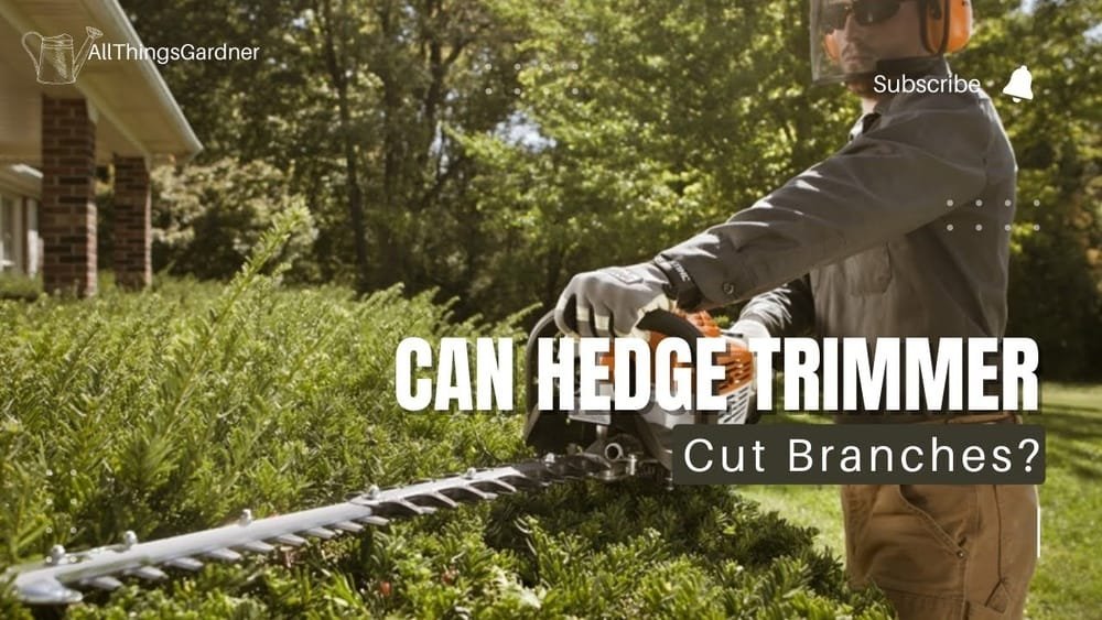 How Thick of a Branch Can a Hedge Trimmer Cut