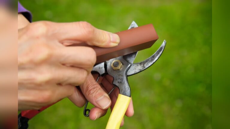 How to Sharpen Garden Tools