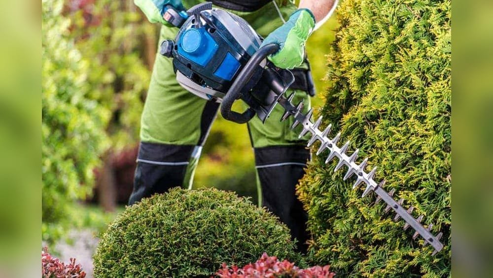 How to Use a Hedge Trimmer