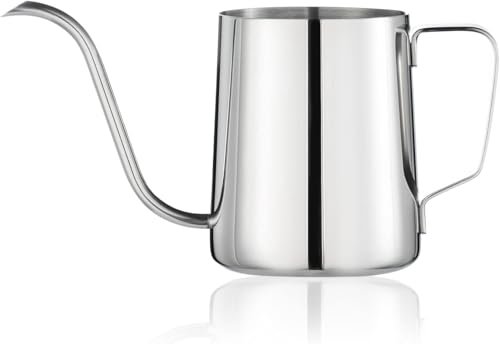 Small Watering Can for Indoor Plants, Mini Long Spout Steel