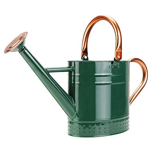Megawodar 1 Gallon Metal Watering Can with Removable Spout