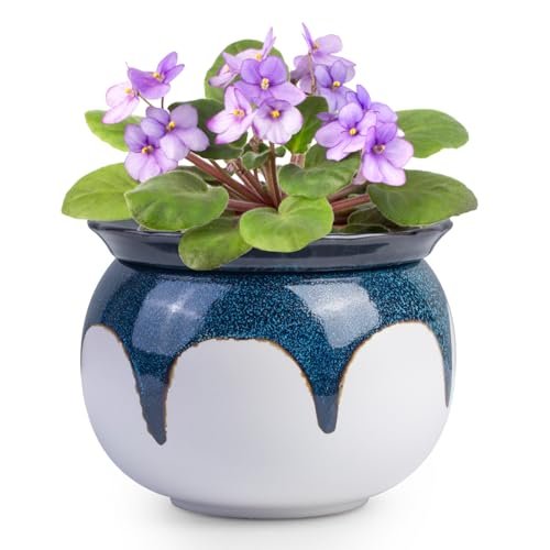 African Violet Pots, 6 inch Ceramic Easy Self Watering Blue.