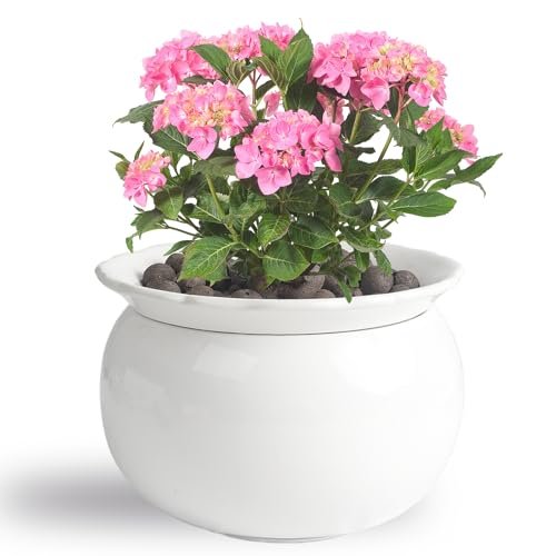 BUYMAX African Violet Pots, 6 inch Ceramic self-watering