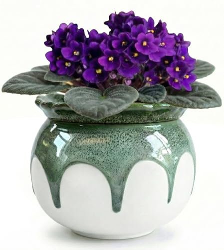 LITUDISO African Violet Pots, 6 Inch Self Watering Ceramic