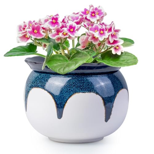 LITUDISO African Violet Pots, 6 Inch Self Watering Ceramic