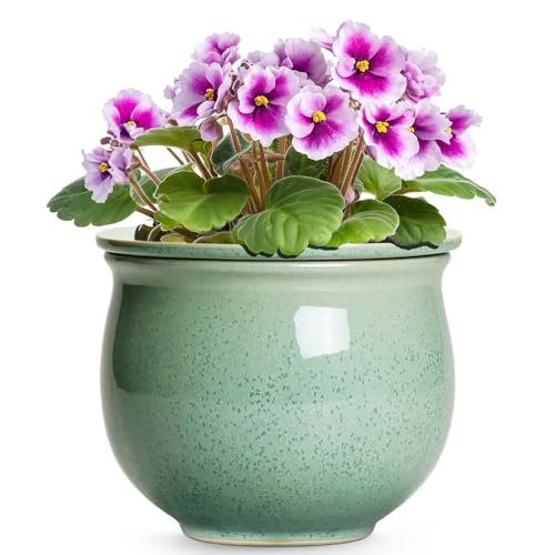 Teagas Ceramic Self Watering Pots, 6 Inch for Indoor Plants