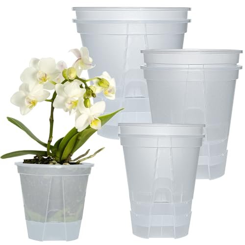 Cdd's Path 6-Pack Bare Root Planter Self Watering Pots Set