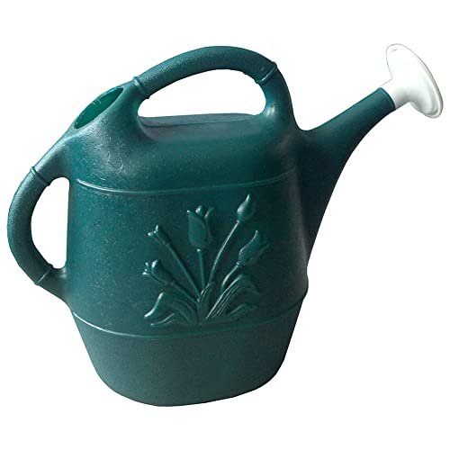Union Products Watering Can, 2 Gallon Plastic, 2 Handles...
