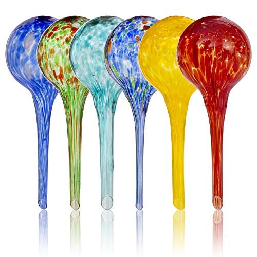 Besti Large Self Watering Globes for Plants 6-Pack Glass...