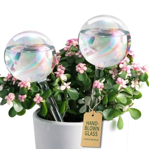 Soilagua Extra-Thick Clear Glass Plant Watering Globes,...