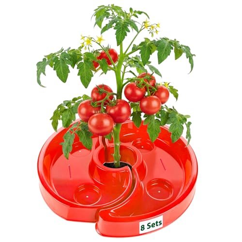 HolyMaji 8 Sets Tomato Watering Ring, Aqua-Direct Root...
