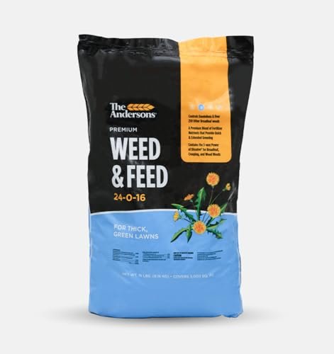 The Andersons Premium Weed and Feed 24-0-16 5,000 sq ft