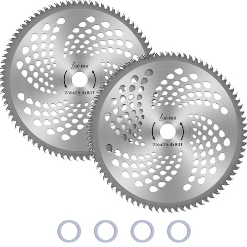 (2-Set) 10