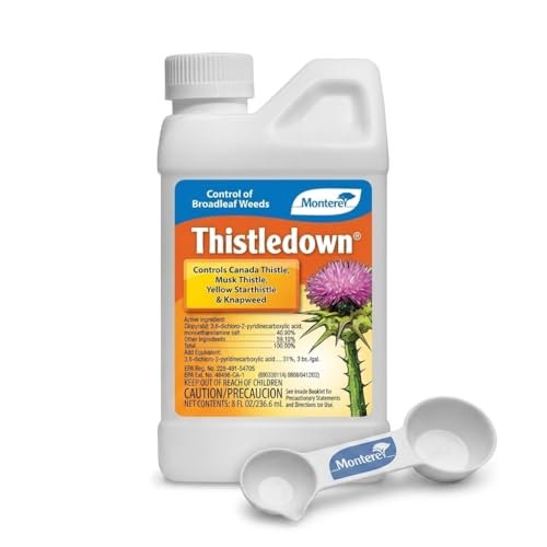 Monterey Thistledown Bundled with Measuring Spoon - Thistle...