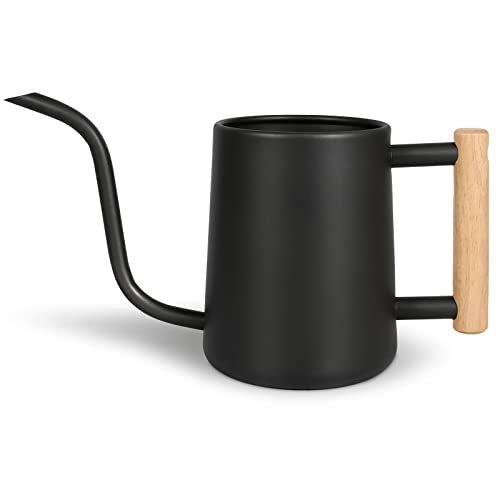 Best Bonsai Watering Can - comprehensive buying guide and reviews