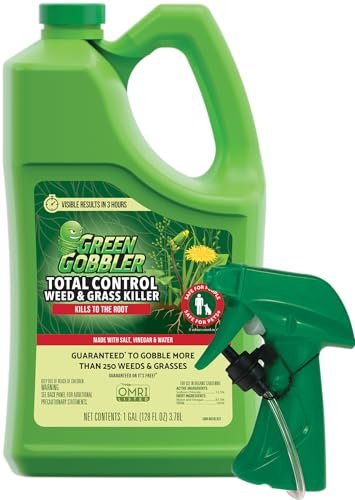 Best Home Made Weed Killer - comprehensive buying guide and reviews