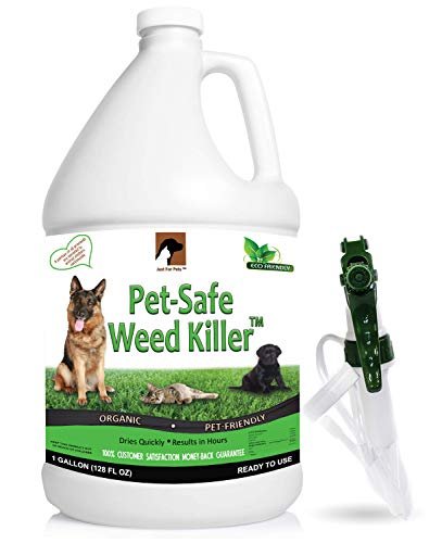 Best Pet Friendly Weed Killer - comprehensive buying guide and reviews