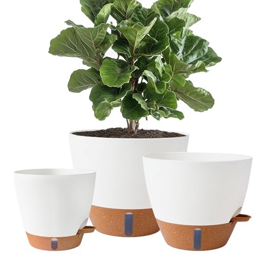 Best Pots for Bottom Watering - comprehensive buying guide and reviews