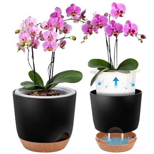 Best Self Watering Pots for Orchids - comprehensive buying guide and reviews
