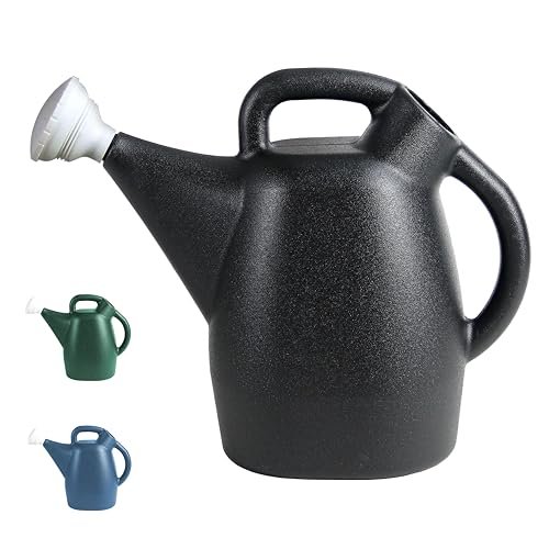 Best Watering Can for Outdoor Plants - comprehensive buying guide and reviews