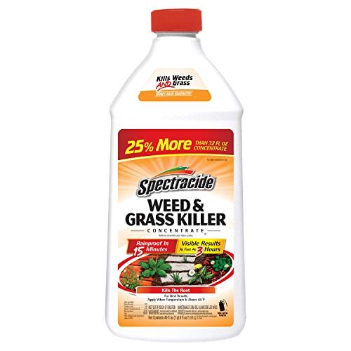 Best Weed and Grass Killer Concentrate - comprehensive buying guide and reviews