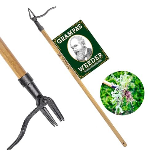 Best Weed Puller Tool - comprehensive buying guide and reviews