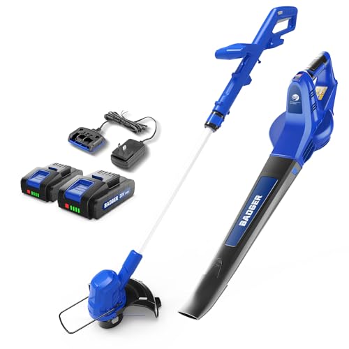 Wild Badger Power 20V Weed Wacker & Leaf Blower Kit