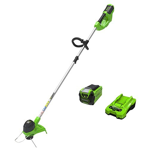 Greenworks 40V 12