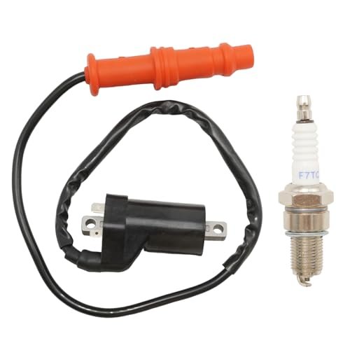 Newnessai 0824-043 0824-049 Ignition Coil Pack and Spark...