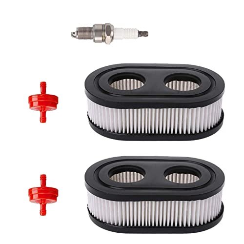 Jstpure for Filter Spark Plug for Briggs & Stratton 550EX