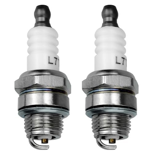 LEFITPA 2 Pack Replacement RCJ6Y Spark Plug for Champion...