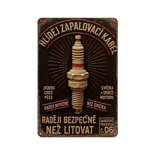 Borsxtzy Spark Plug Warning Sign Pattern Modern Metal Tin...