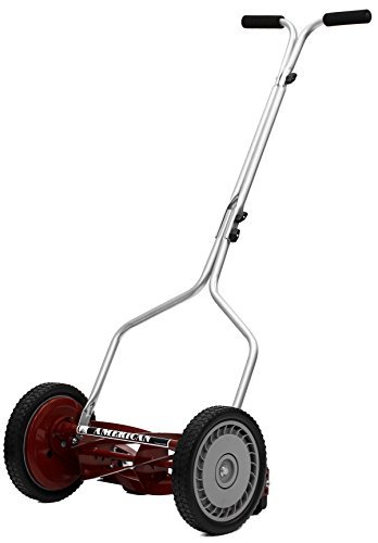 reel lawn mower vs push mower - comparison