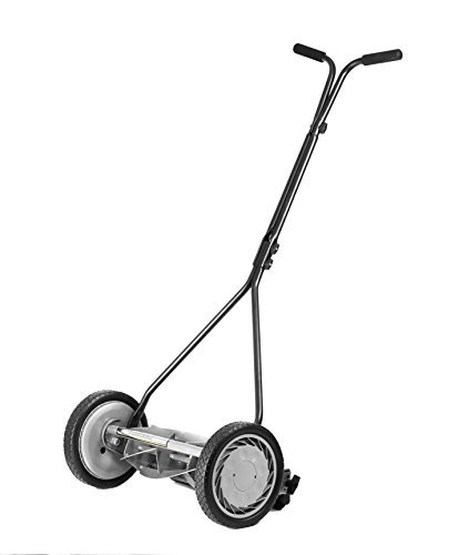 reel mower vs gas mower - comparison