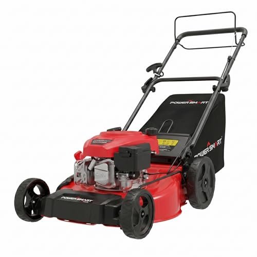 manual vs gas lawn mower - PowerSmart 21